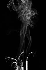 Smoking incense(Black and white scene)