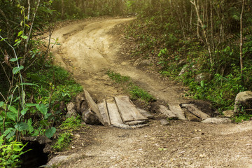 Rural road in the jungle