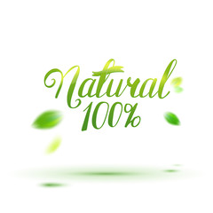 Natural calligraphy logo