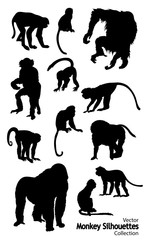 Twelve Vector Monkey silhouettes collection © jelliclecat