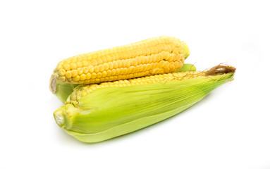 corn fresh