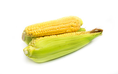corn fresh