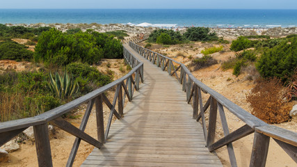 Fototapeta na wymiar Playa de la Barrosa, Chiclana, Cádiz