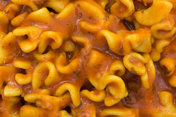 Canned pasta lasagna close view