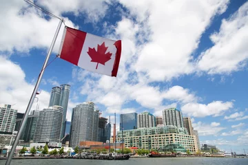 Printed roller blinds Canada Canada - Toronto - Skyline