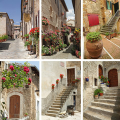 Fototapeta na wymiar italian sunny streets with many flowering plants - group of imag