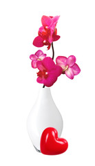 Beautiful flower Orchid, pink phalaenopsis in vase isolated on w