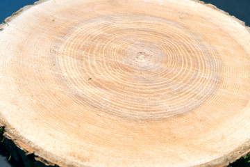 Holzscheibe mit Jahresringen