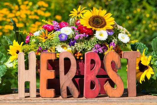 Herbstblumen Stock Photos And Royalty Free Images Vectors And Illustrations Adobe Stock