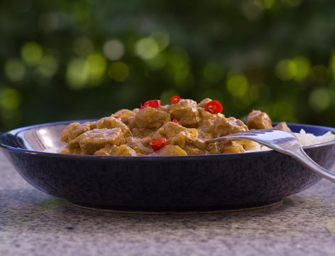 Hot chili indian lamb curry in the deep plate or shallow bowl with rice on the stone table with nice green background in the garden. 
