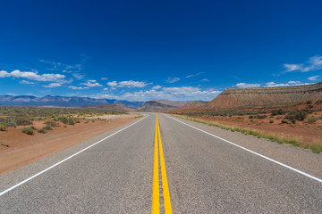 Fototapeta na wymiar The road in Nevada