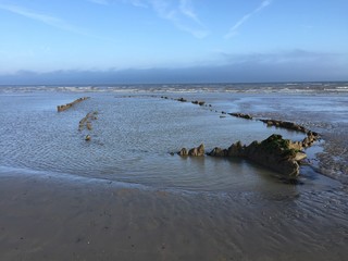 The Amsterdam Shipwreck