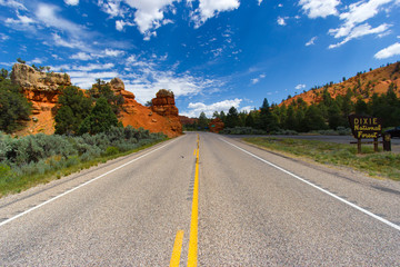 The road of Bryce Canyon