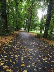 wet walkway in park