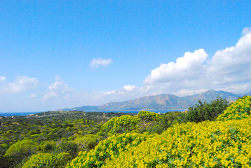 view of a piece of colorful nature in Villasimius (Sardinia) wit