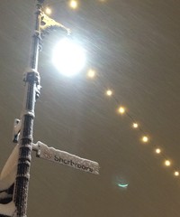 Snowstorm on street corner