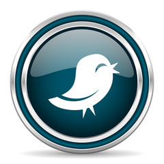 twitter blue glossy web icon