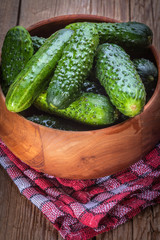 Fresh green cucumbers.