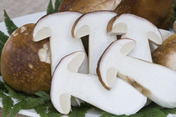 Candidi funghi porcini affettati