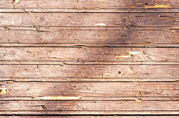 Fototapeta premium Wooden Texture