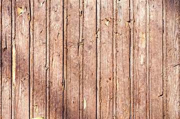 Naklejka premium Wooden Texture