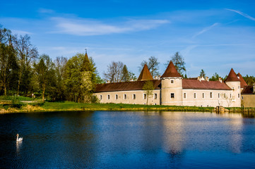 Fototapeta na wymiar A calm lake in the foreground and castle Waldreichs (german Schloss Waldreichs) in the background. 