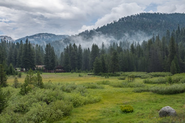 Fototapeta na wymiar Nuvole dopo la pioggia Sequoia Park