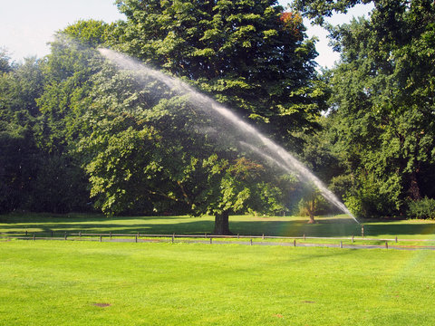 Fotos, lizenzfreie Bilder, Grafiken, Vektoren und Videos von