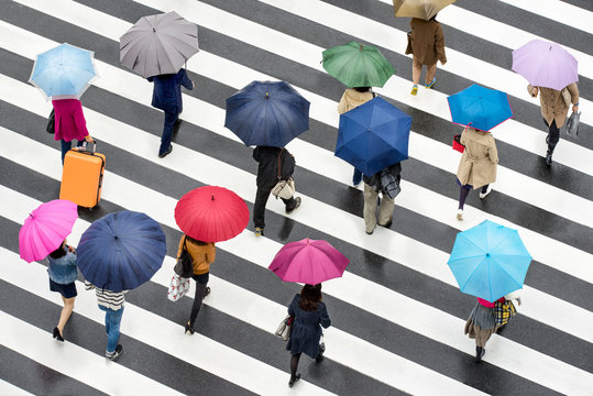 Fototapeta Menschen in Shibuya Tokyo Japan mit Regenschirmen