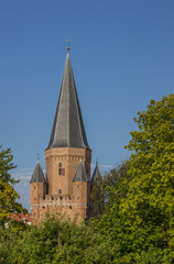 Fototapeta na wymiar Drogenaps tower in the historical center of Zutphen