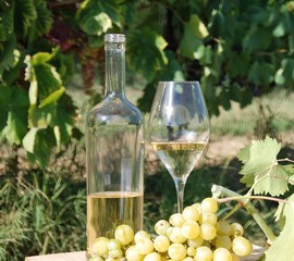 bottiglia,calice con vino bianco e grappolo d'uva