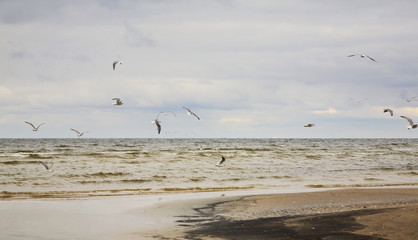 Gulf of Riga in Jurmala. Latvia