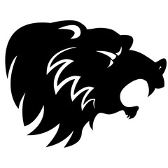 Abstract Angry Bear Head