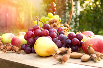 Naklejka na ściany i meble Organic autumn fruits