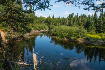 Fototapeta premium see im alqonquin nationalpark in kanada