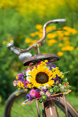 Altes Fahrrad mit Sommerblumen