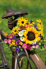 Altes Fahrrad mit Sommerblumen