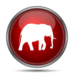 Elephant icon