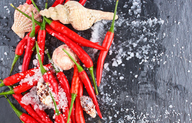 Hot Red Chili Pepper / hot red chili pepper with ice, slat & seashells on a black stone surface 