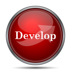 Develop icon