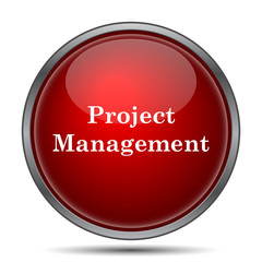 Project management icon