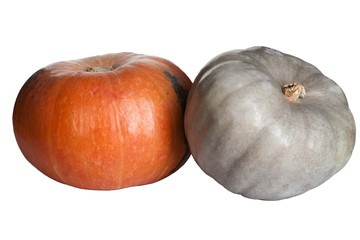 Pumpkins isolated on the white
