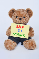 Teddy bear holding a Back to School sign isolated on a white background