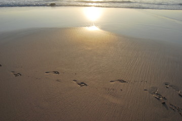 Orme di passi sulla spiaggia