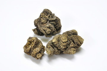 Ligusticum sinense Oliv. cv.Chuanxiong Hort