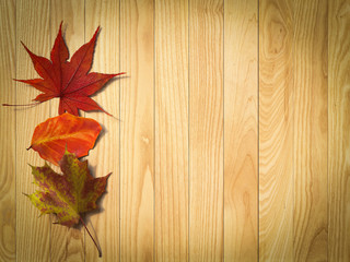 Naklejka na ściany i meble autumn leaves on the wooden background composition