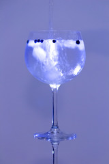 Gin and Tonic