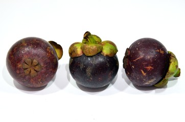 Mangosteen