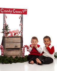 Candy Canes for Sale