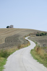 panoramic landscape with road
